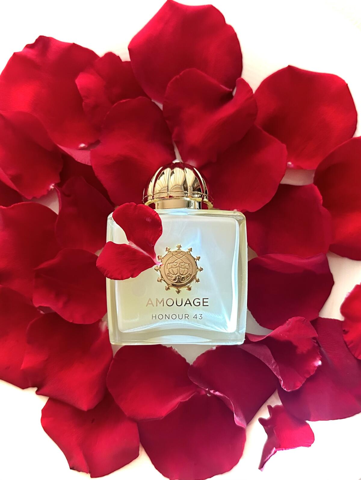 Amouage Honour 43 Woman Extrai - Perfume Fragrance Families avis et prix