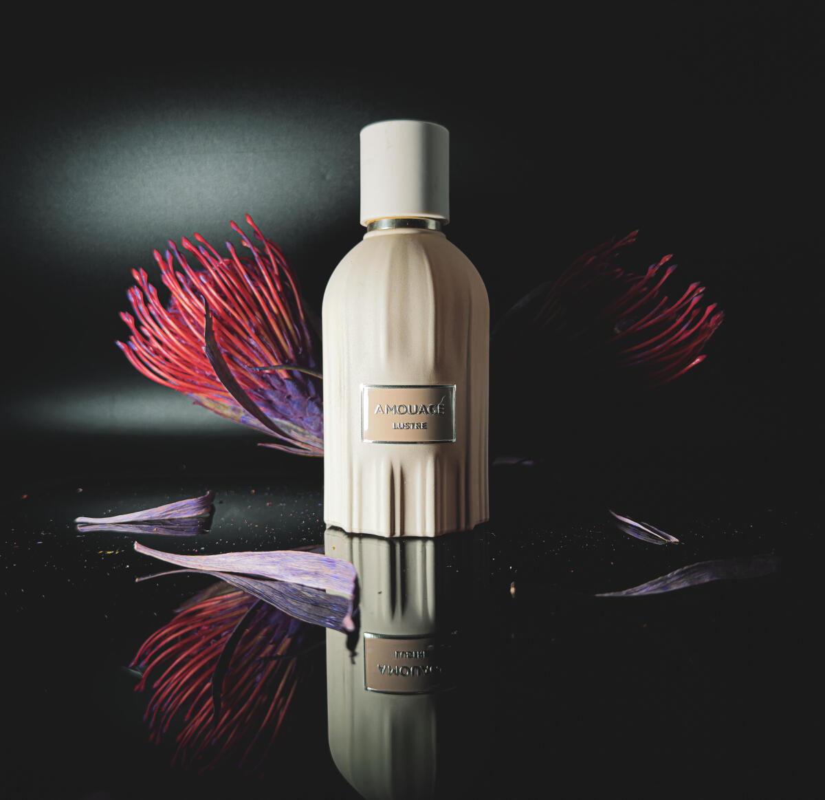 Parfum Amouage Lustre 100ml –  - Perfume Fragrance Families avis et prix