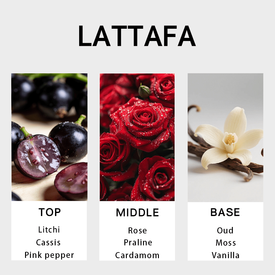 Lattafa Bayaan Eau de Parfum u - Perfume Fragrance Families avis et prix
